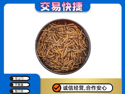 海北回收散虫草